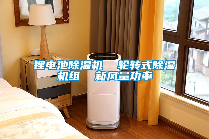 鋰電池除濕機  輪轉式除濕機組  新風量功率