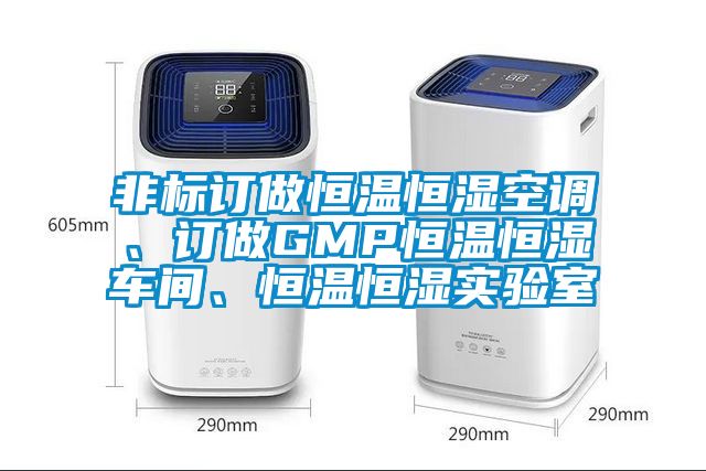 非標訂做恒溫恒濕空調(diào)、訂做GMP恒溫恒濕車間、恒溫恒濕實驗室
