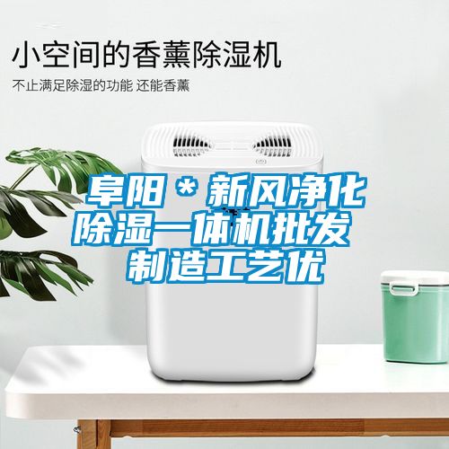 阜陽＊新風凈化除濕一體機批發 制造工藝優