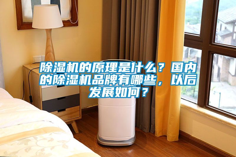除濕機的原理是什么？國內的除濕機品牌有哪些，以后發(fā)展如何？