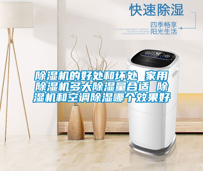 除濕機(jī)的好處和壞處 家用除濕機(jī)多大除濕量合適 除濕機(jī)和空調(diào)除濕哪個效果好