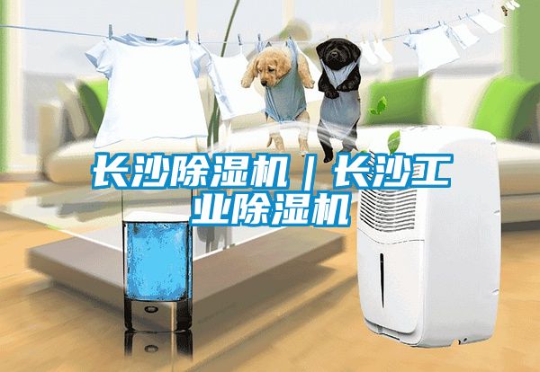 長沙除濕機｜長沙工業除濕機