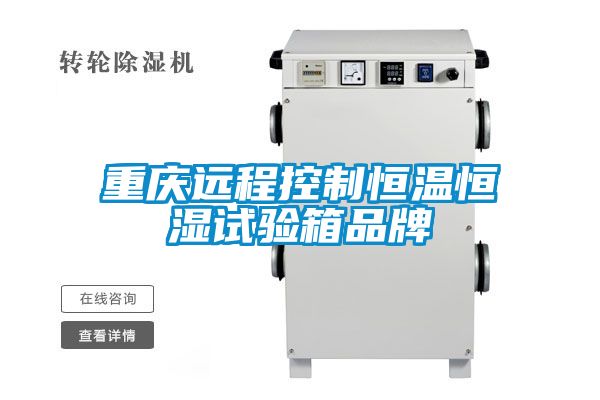 重慶遠(yuǎn)程控制恒溫恒濕試驗箱品牌