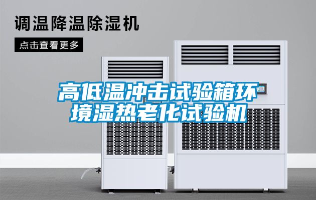 高低溫沖擊試驗箱環境濕熱老化試驗機