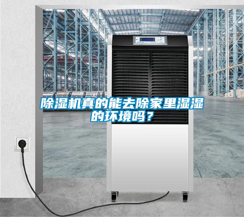 除濕機(jī)真的能去除家里濕濕的環(huán)境嗎？