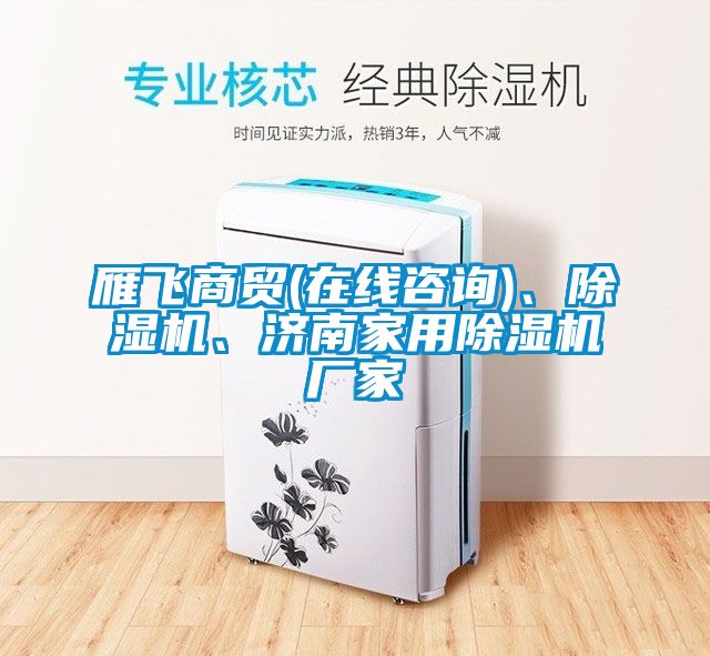 雁飛商貿(mào)(在線咨詢)、除濕機、濟南家用除濕機廠家