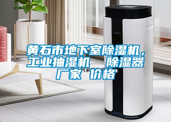 黃石市地下室除濕機，工業抽濕機  除濕器廠家 價格