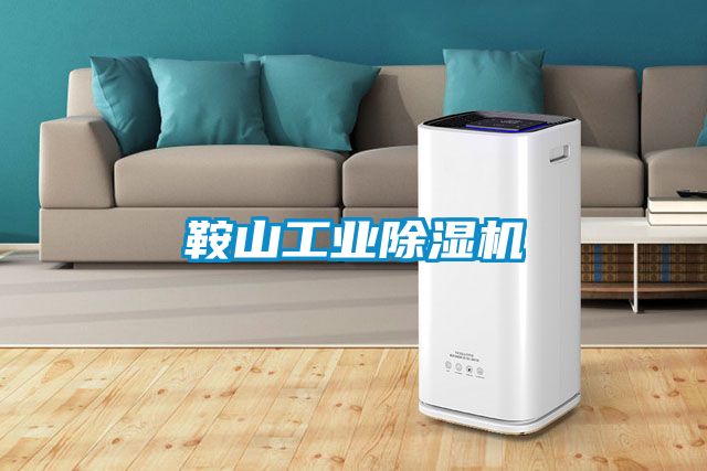 鞍山工業(yè)除濕機
