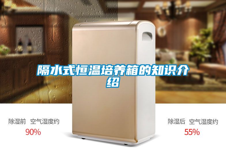 隔水式恒溫培養(yǎng)箱的知識(shí)介紹