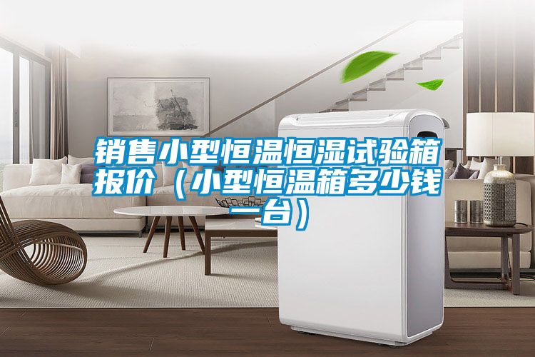 銷售小型恒溫恒濕試驗(yàn)箱報(bào)價(jià)（小型恒溫箱多少錢一臺）