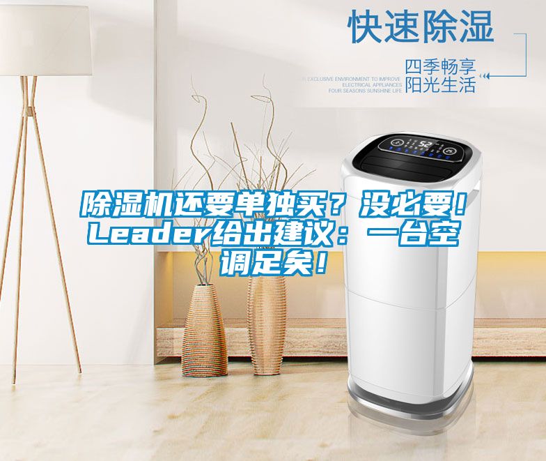 除濕機還要單獨買？沒必要！Leader給出建議：一臺空調足矣！