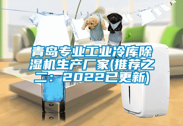 青島專業(yè)工業(yè)冷庫除濕機生產(chǎn)廠家(推薦之二：2022已更新)
