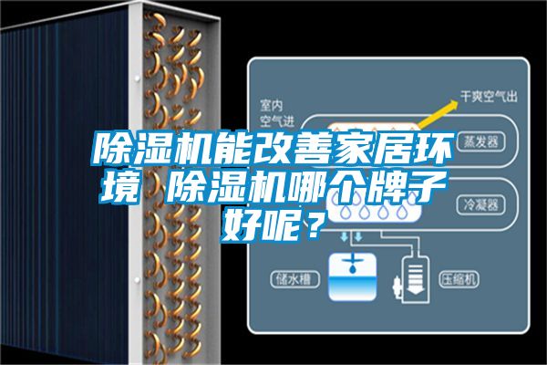 除濕機能改善家居環境 除濕機哪個牌子好呢？