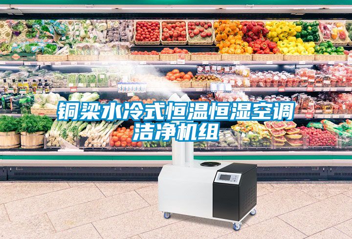 銅梁水冷式恒溫恒濕空調(diào)潔凈機(jī)組