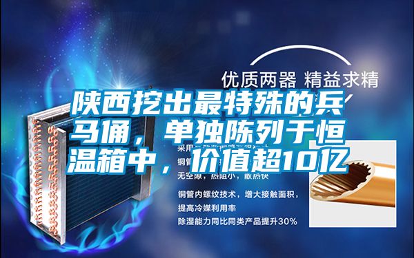 陜西挖出最特殊的兵馬俑，單獨(dú)陳列于恒溫箱中，價值超10億