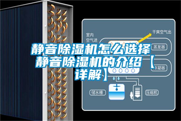 靜音除濕機怎么選擇 靜音除濕機的介紹【詳解】