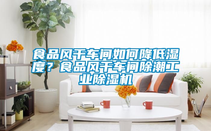 食品風(fēng)干車間如何降低濕度？食品風(fēng)干車間除潮工業(yè)除濕機(jī)