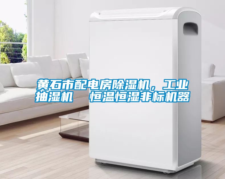 黃石市配電房除濕機(jī)，工業(yè)抽濕機(jī)  恒溫恒濕非標(biāo)機(jī)器