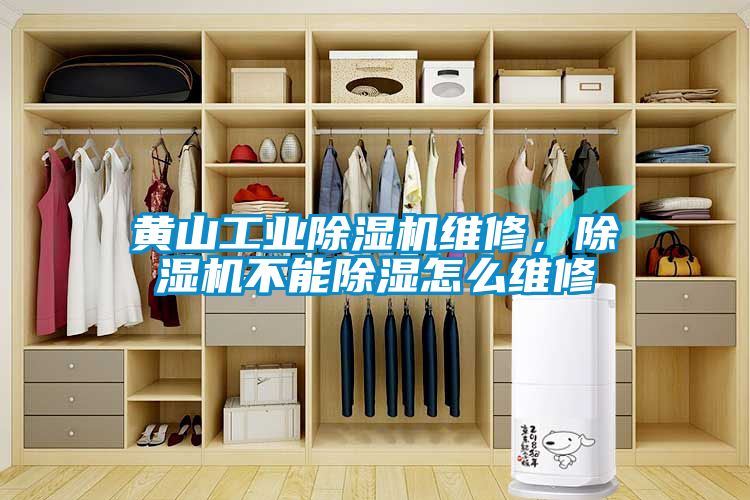 黃山工業除濕機維修，除濕機不能除濕怎么維修