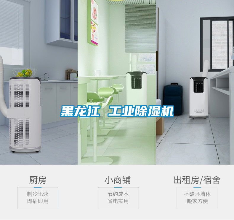 黑龍江 工業除濕機