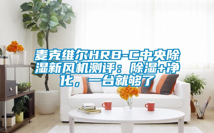 麥克維爾HRB-C中央除濕新風(fēng)機測評：除濕+凈化，一臺就夠了