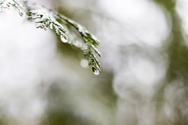 空氣濕度大帶來的危害有哪些，你知道嗎？