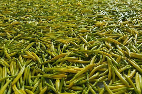 無硫金針菜烘干如何保持品相？不發黑？_除濕機廠家